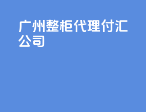 广州整柜代理付汇公司