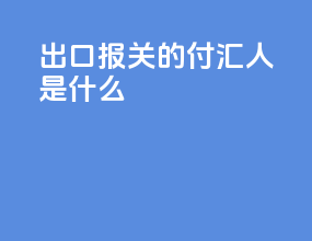 出口报关的付汇人是什么