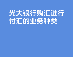 光大银行购汇进行付汇的业务种类
