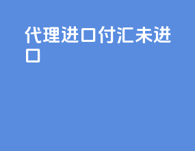 代理进口付汇未进口