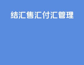 结汇售汇付汇管理