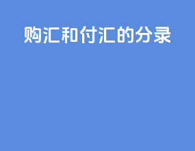 购汇和付汇的分录