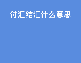 付汇结汇什么意思