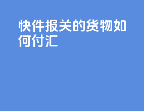 快件报关的货物如何付汇