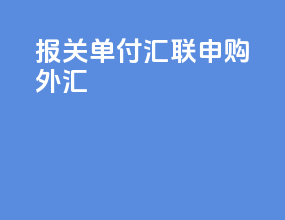 报关单付汇联申购外汇