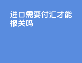 进口需要付汇才能报关吗