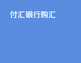 付汇银行购汇