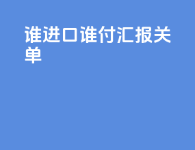 谁进口谁付汇报关单
