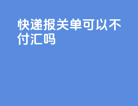 快递报关单可以不付汇吗
