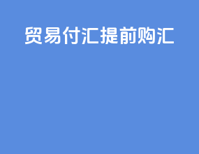 贸易付汇 提前购汇