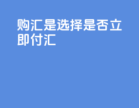 购汇是选择是否立即付汇