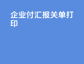 企业付汇报关单打印
