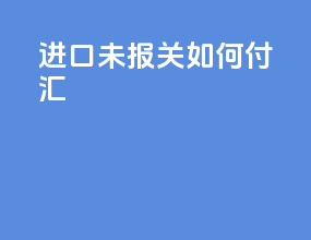 进口未报关如何付汇