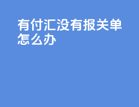 有付汇没有报关单怎么办