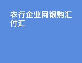 农行 企业网银购汇付汇