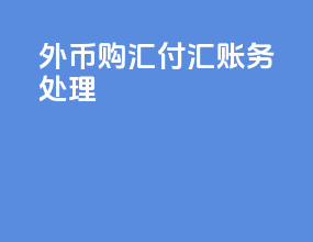 外币购汇付汇账务处理