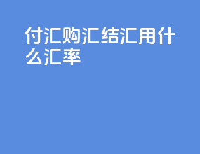 付汇购汇结汇用什么汇率