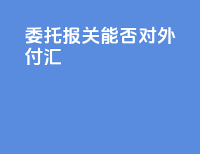 委托报关能否对外付汇