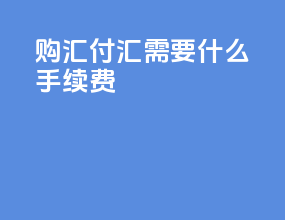 购汇付汇需要什么手续费