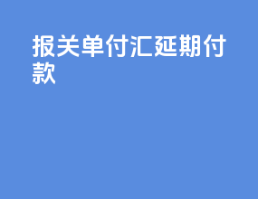 报关单付汇延期付款