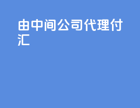 由中间公司代理付汇