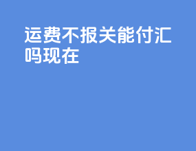 运费不报关能付汇吗现在