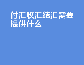 付汇收汇结汇需要提供什么