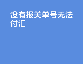 没有报关单号 无法付汇