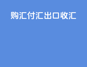购汇付汇出口收汇