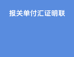 报关单付汇证明联
