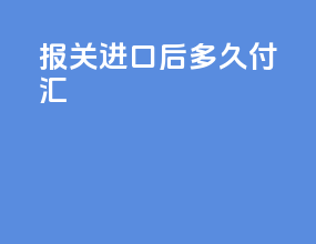 报关进口后多久付汇