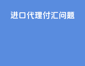 进口代理付汇问题