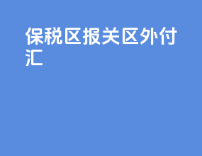 保税区报关区外付汇