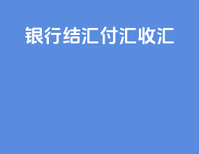 银行结汇付汇收汇