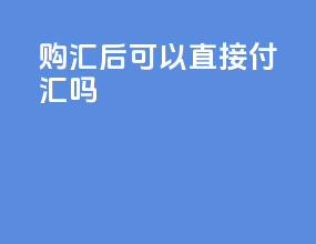 购汇后可以直接付汇吗