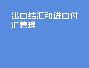 出口结汇和进口付汇管理