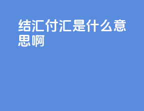 结汇付汇是什么意思啊