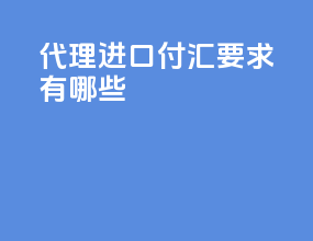代理进口付汇要求有哪些