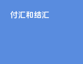 付汇和结汇