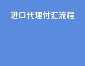 进口代理付汇流程