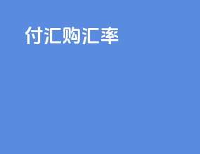 付汇购汇率