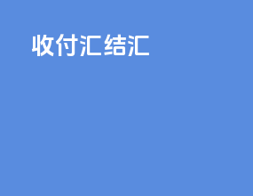 收付汇 结汇