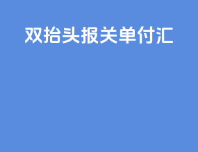 双抬头报关单付汇
