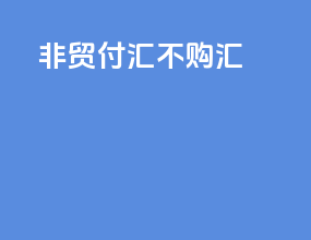 非贸付汇不购汇