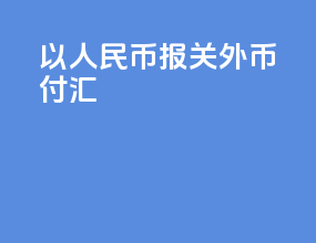 以人民币报关外币付汇