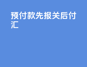预付款先报关后付汇