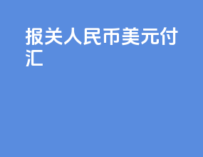 报关人民币美元付汇