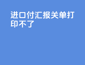 进口付汇报关单打印不了