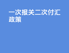 一次报关二次付汇政策