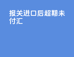 报关进口后超期未付汇